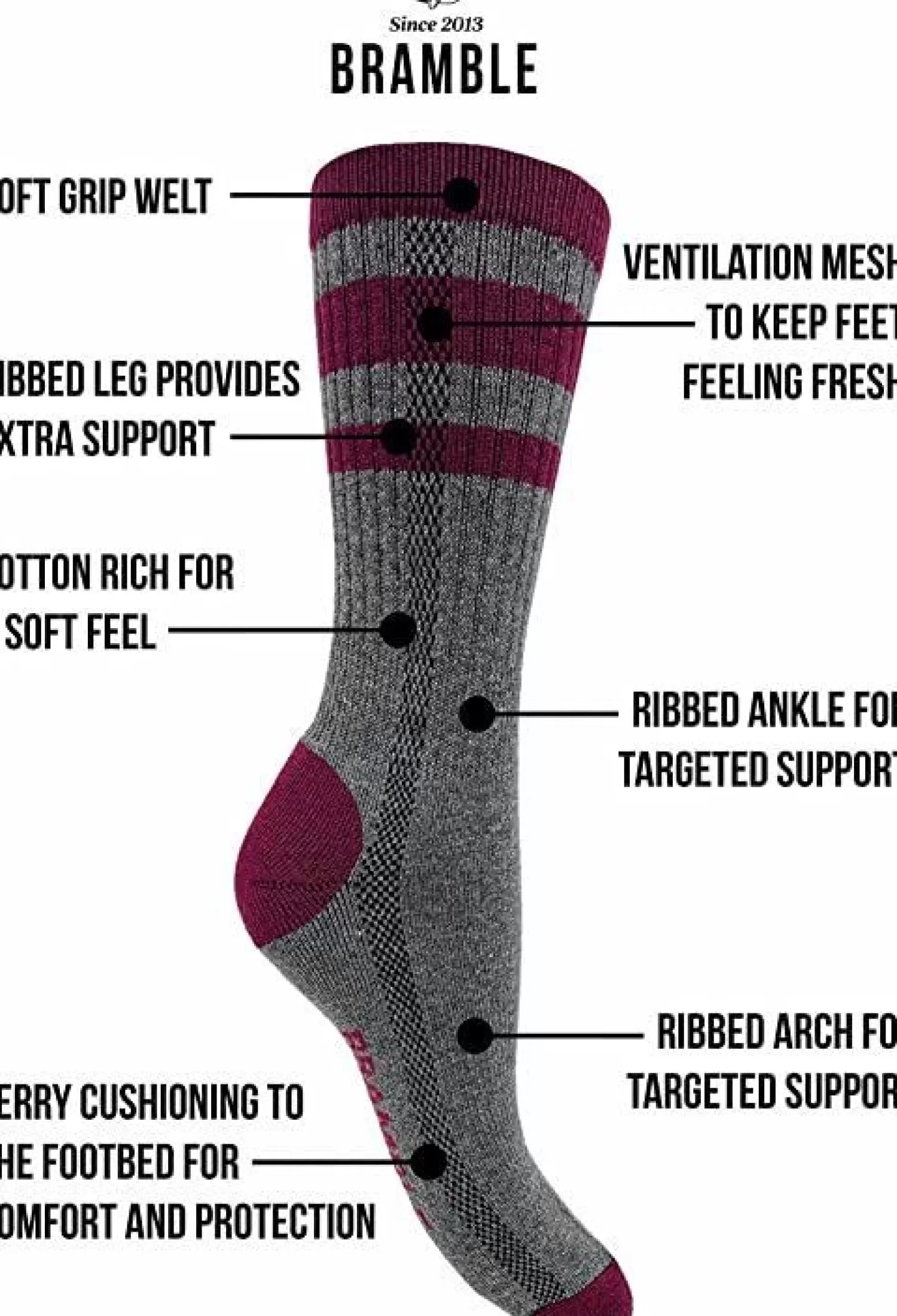 Bramble Socks | Womens 3 Pack Lightweight Hiker Socks