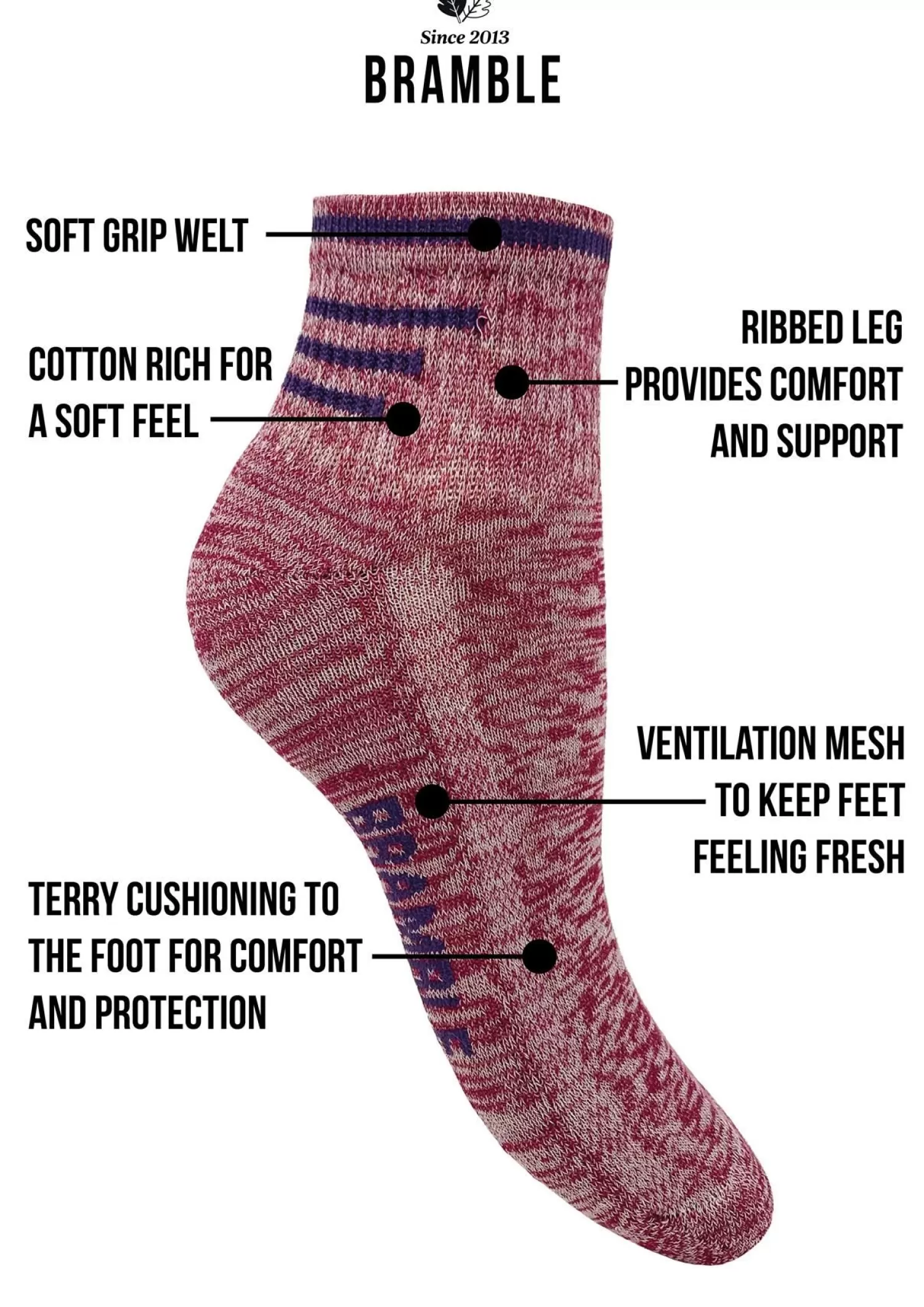 Bramble Socks | Womens 3 Pack Low Cut Trail Socks