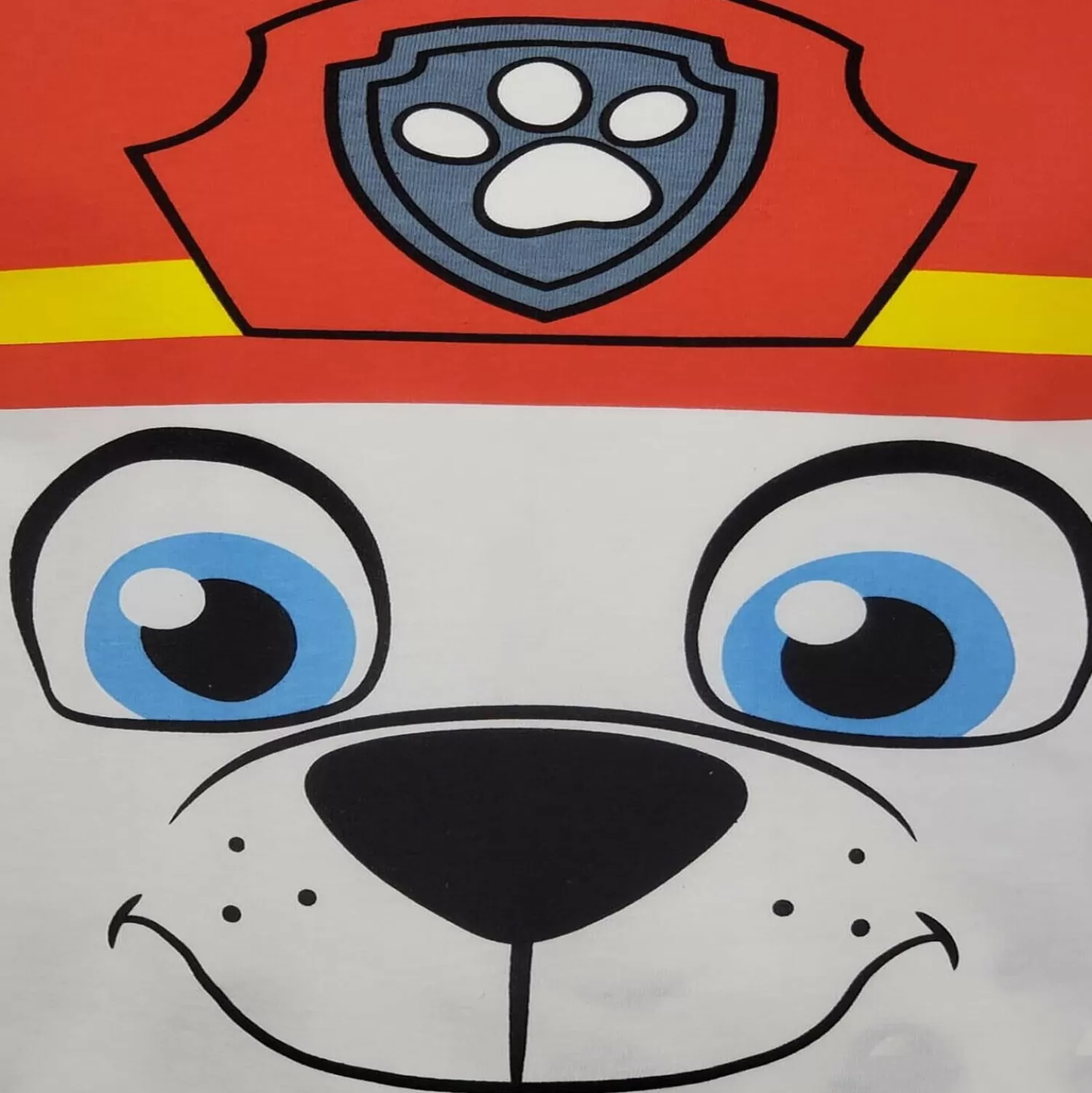 Kids Paw Patrol Kids Marshall Pyjamas