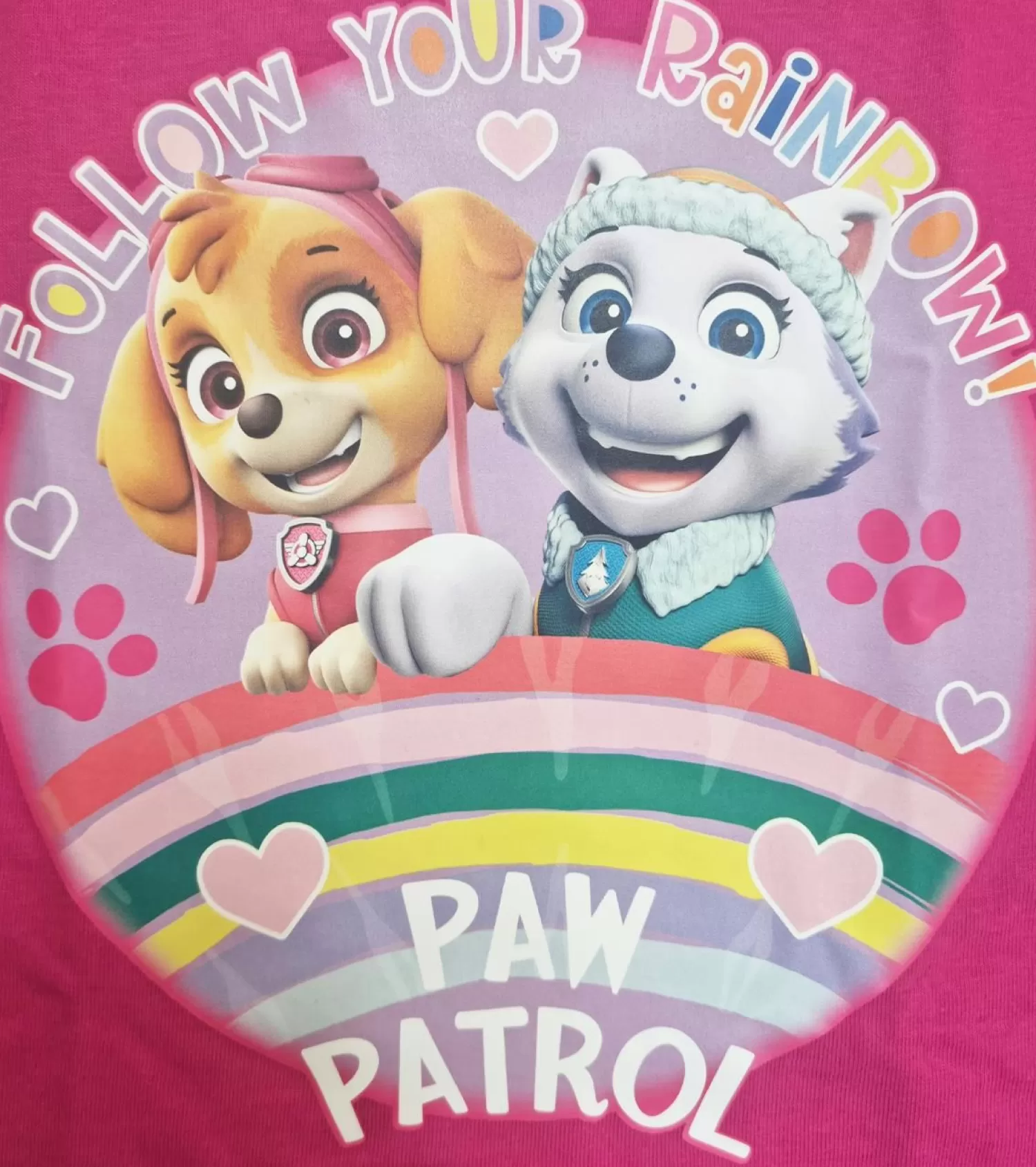 Kids Paw Patrol Kids Skye And Everest Pink Pyjamas