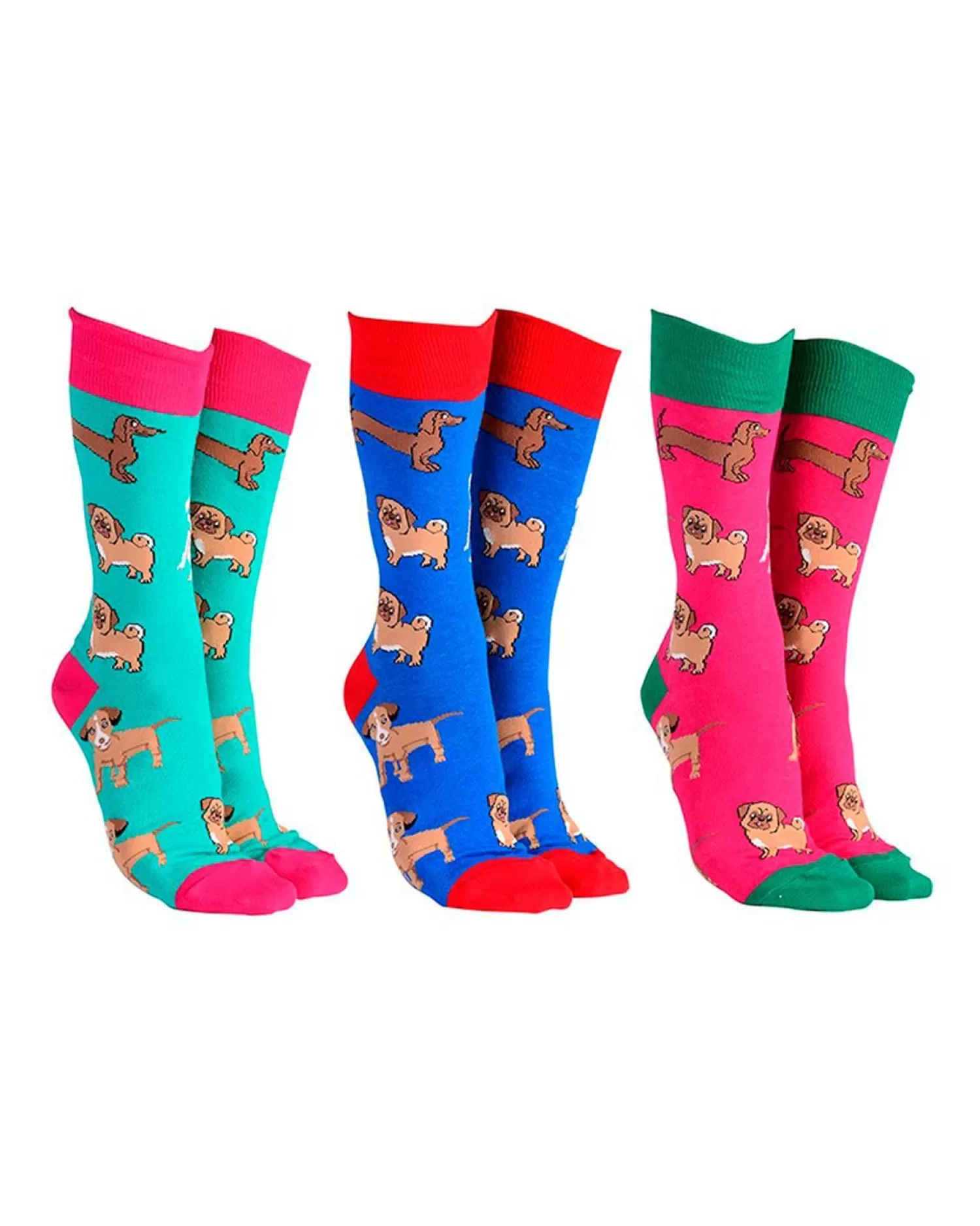 Men Sock Society 3 Pack Dog Socks